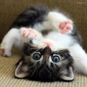 Meet your Posher, Beth